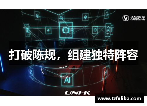 打破陈规，组建独特阵容